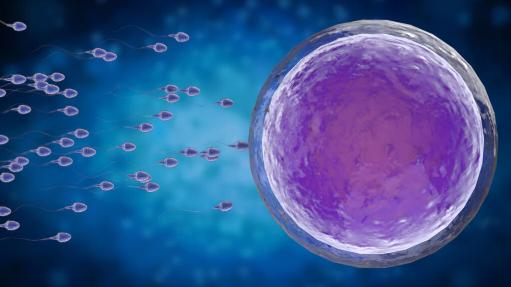 Do Gametes (Egg/Sperm) Create a Sex Binary? Science Says No.